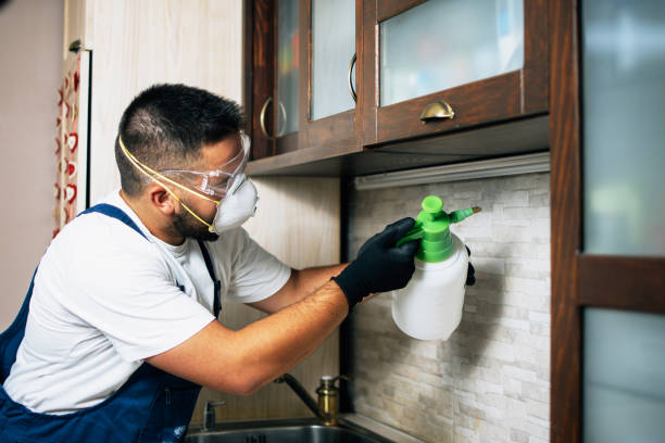 Reliable Pleasant Hill, CA Pest Control Solutions