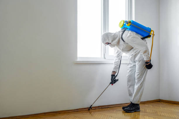 Best Wildlife Control Services  in Pleasant Hill, CA