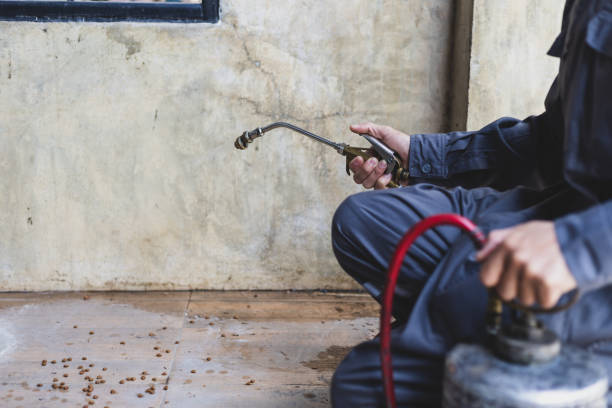 Best Pest Control Near Me  in Pleasant Hill, CA